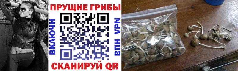 Купить  Волгореченск  Псилоцибиновые грибы Magic Shrooms 